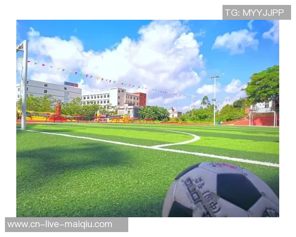 足球比赛中的犯规旗语解析与应用技巧全面指南