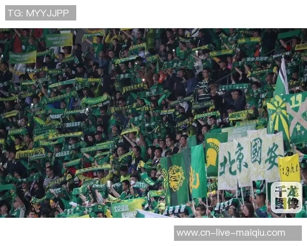 韩国足球联赛积分榜最新动态分析及球队表现评估