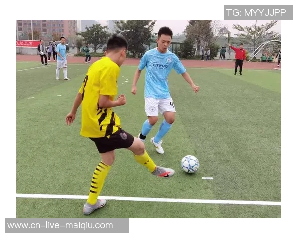 铁狼足球俱乐部：激情与梦想交织的绿茵场上奋斗故事